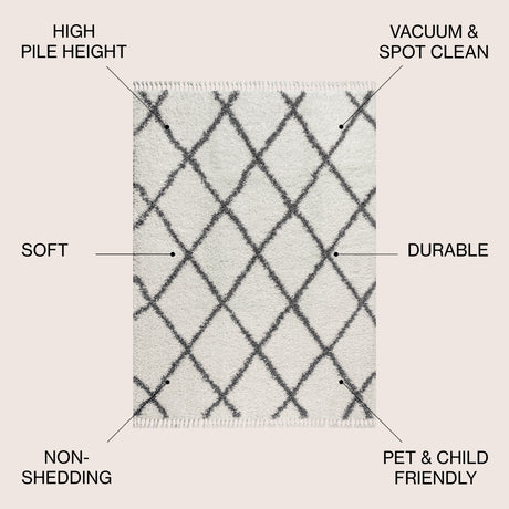 Mercer Shag Plush Tassel Moroccan Trellis Area Rug