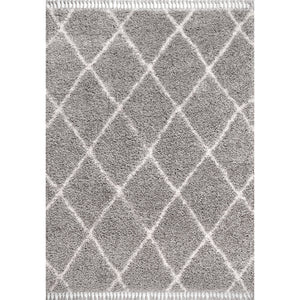 Mercer Shag Plush Tassel Moroccan Trellis Area Rug