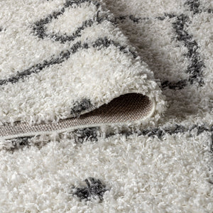 Mercer Shag Plush Tassel Moroccan Diamond Area Rug