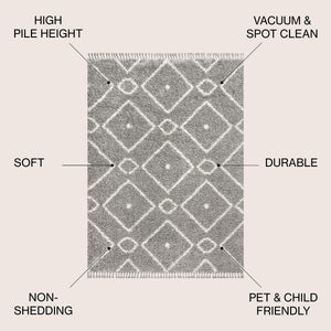 Mercer Shag Plush Tassel Moroccan Diamond Area Rug