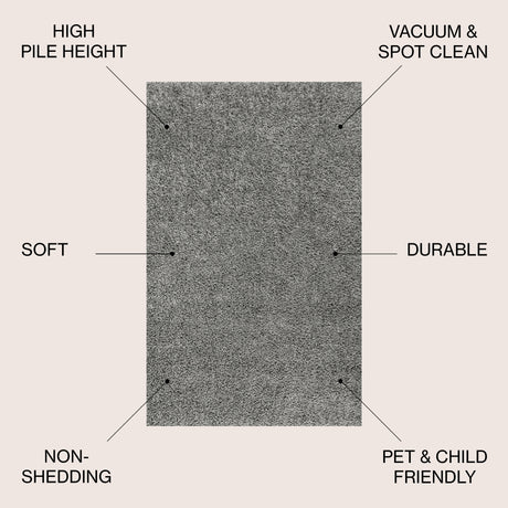 Mercer Shag Plush Area Rug