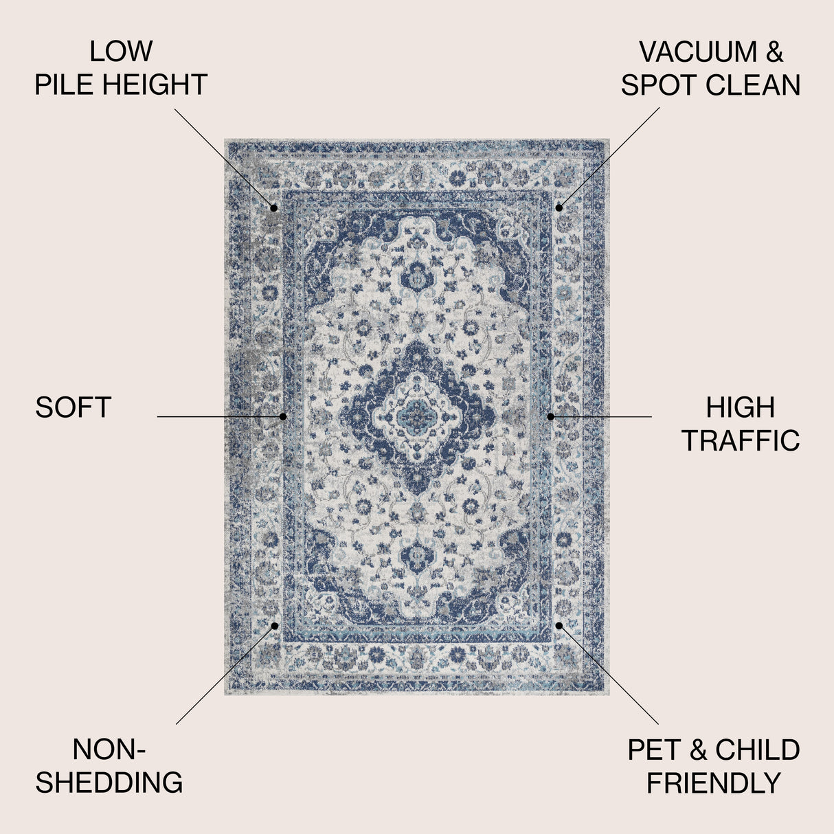 Indhira Ornate Medallion Persian Area Rug