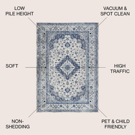 Indhira Ornate Medallion Persian Area Rug