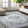 Indhira-Ornate-Medallion-Persian-Area-Rug-Area-Rugs