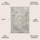 Rosalia Cottage Medallion Vintage Area Rug