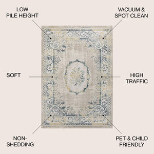 Rosalia Cottage Medallion Vintage Area Rug