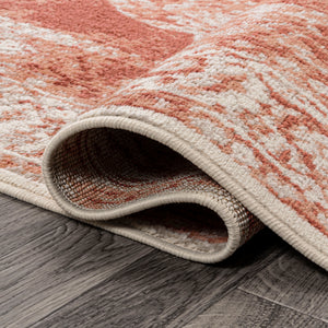 Rosalia Cottage Medallion Woven Runner Rug