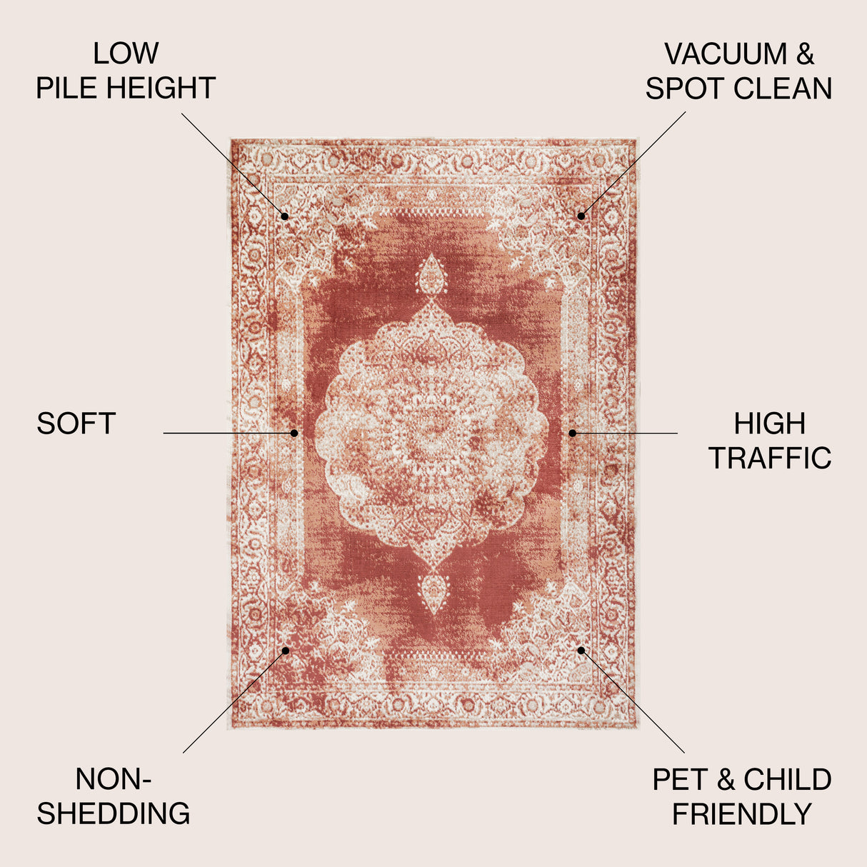 Rosalia Cottage Medallion Bohemian Area Rug