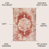 Rosalia Cottage Medallion Bohemian Area Rug