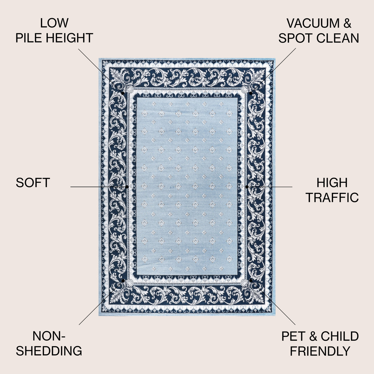 Acanthus French Border Area Rug