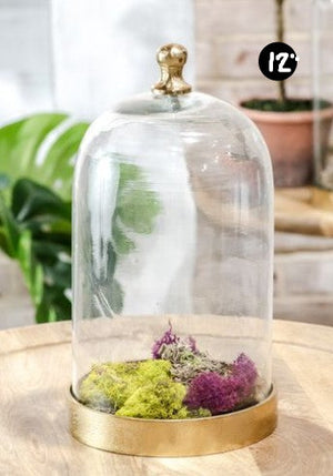 Glass Cloche with Gold Base, 3 Size Options