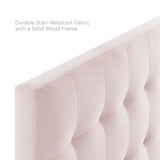 Lily Biscuit Tufted Performance Velvet Twin Headboard by Modway
