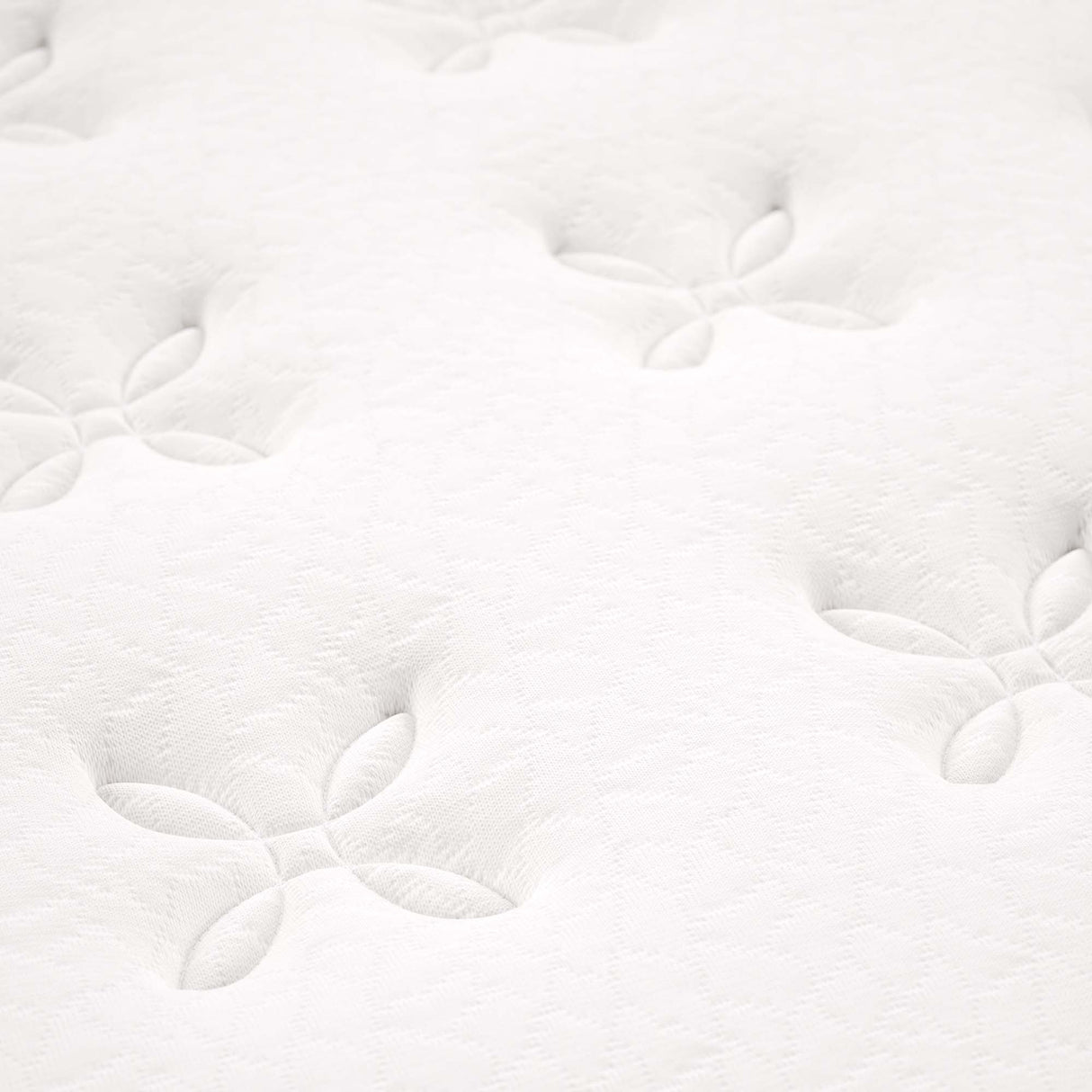 Jenna 8" Innerspring and Foam Queen Mattress by Modway