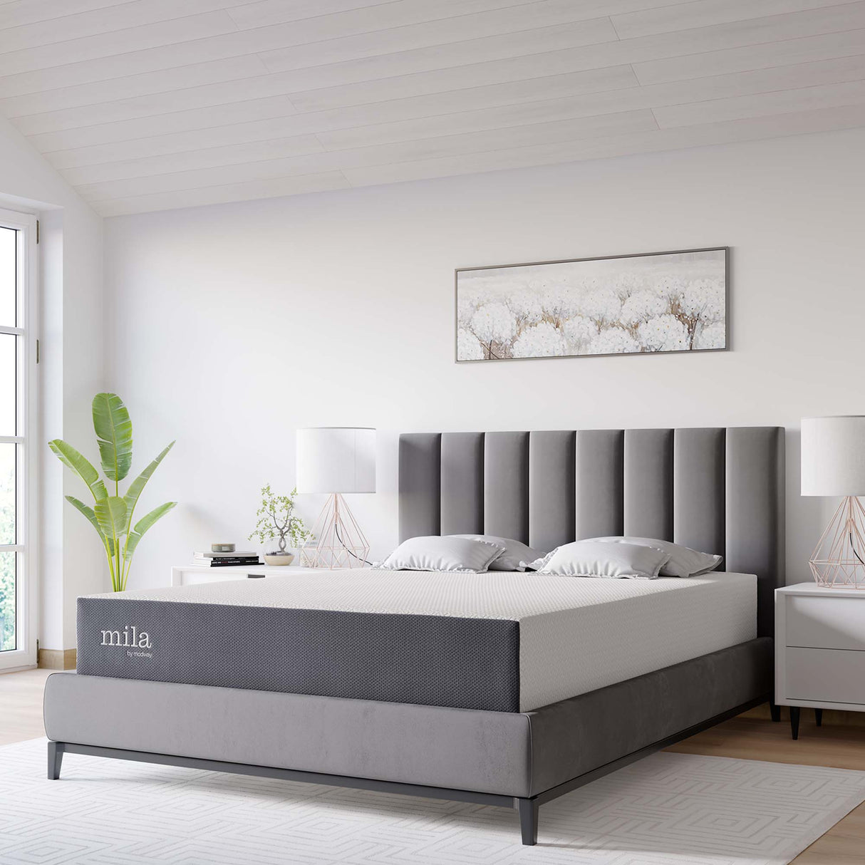 Mila 10" Queen Mattress by Modway
