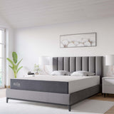 Mila 10" Queen Mattress by Modway