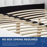 Lana Performance Velvet Queen Wingback Platform Bed by Modway