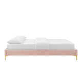 Sutton Performance Velvet Twin Bed Frame by Modway