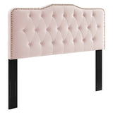 Sophia Tufted Performance Velvet Twin Headboard by Modway