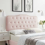 Sophia Tufted Performance Velvet Twin Headboard by Modway