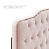 Sophia Tufted Performance Velvet Full/Queen Headboard by Modway