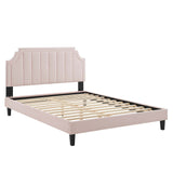 Sienna Performance Velvet Queen Platform Bed by Modway