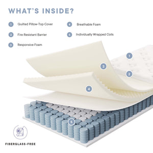 Jenna 6" Innerspring and Foam Twin Mattress by Modway