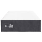 Mila 12" Twin Mattress by Modway