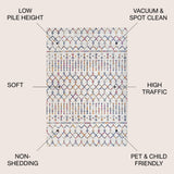 Moroccan HYPE Boho Vintage Diamond Area Rug