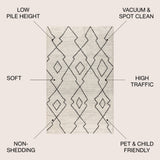 Alia Moroccan Beni Souk Area Rug
