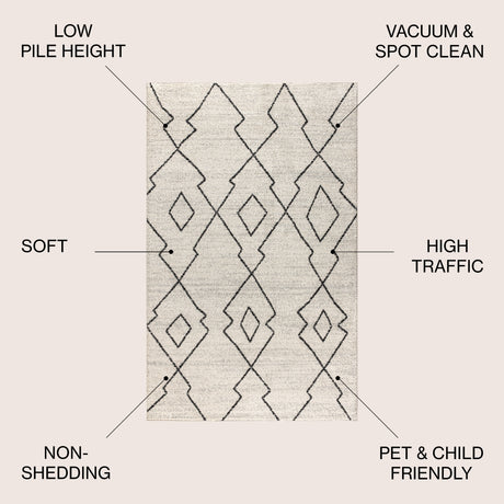 Alia Moroccan Beni Souk Area Rug