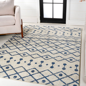 Aksil Moroccan Beni Souk Area Rug