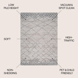 Asilah Moroccan Modern Diamond Area Rug