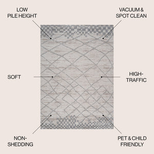 Asilah Moroccan Modern Diamond Area Rug