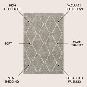 Catala Moroccan Diamond Shag Area Rug