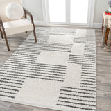 Petra Abstract Stripe Geometric Shag Area Rug