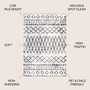 Aksil Moroccan Diamond Area Rug