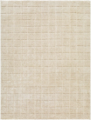 Cascade Checkered Beige Area Rug