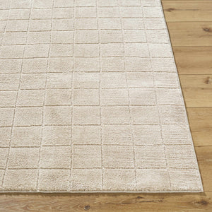 Cascade Checkered Beige Area Rug
