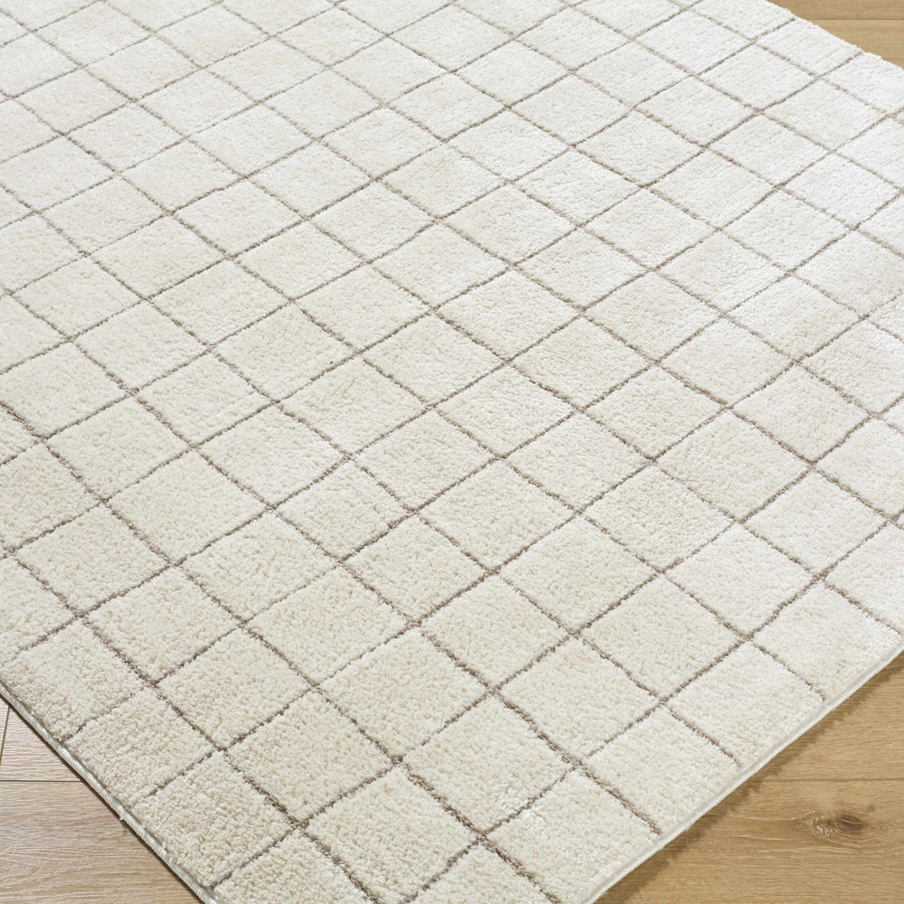 Cascade Checkered Ivory Area Rug