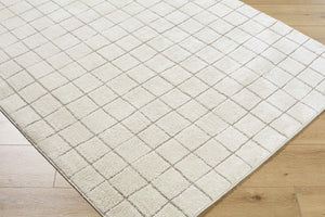 Cascade Checkered Ivory Area Rug
