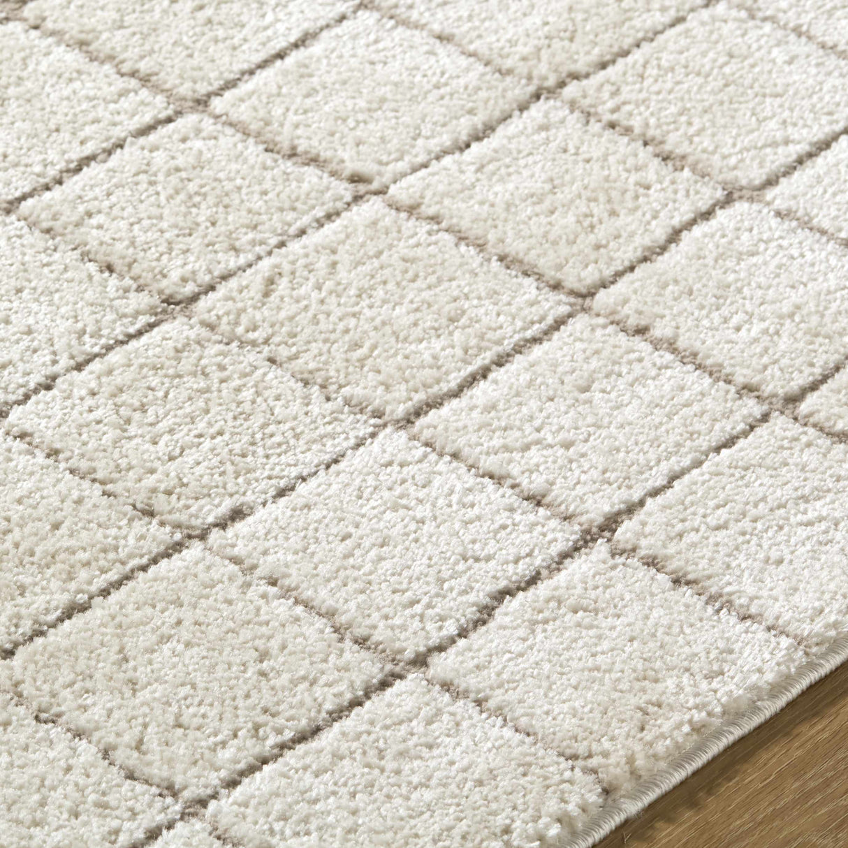 Cascade Checkered Ivory Area Rug