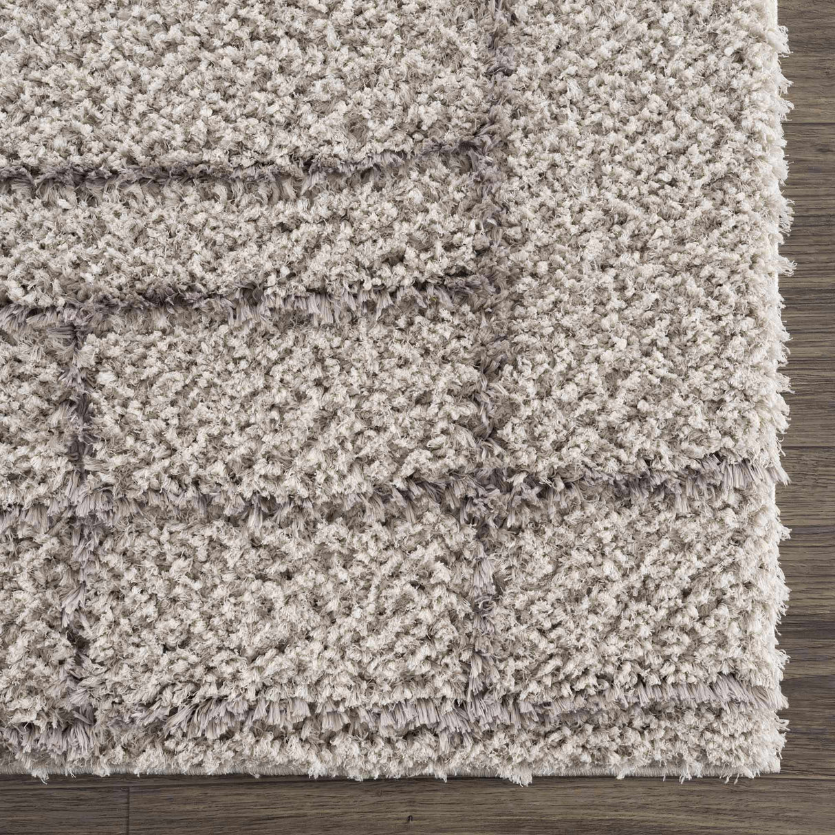 Andia Gray Area Rug - Clearance