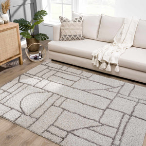Andia Gray Area Rug - Clearance