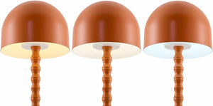 Magdagachi Orange Table Lamp