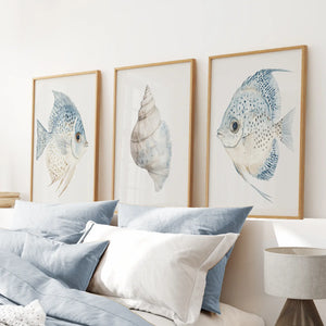 Trendy Nautical Wall Art Set of 3. Seashell and Fishes Posters