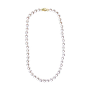 14K Gold 8.0x8.5mm Akoya Pearl Strand Necklace