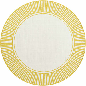 Nadir Area Rug