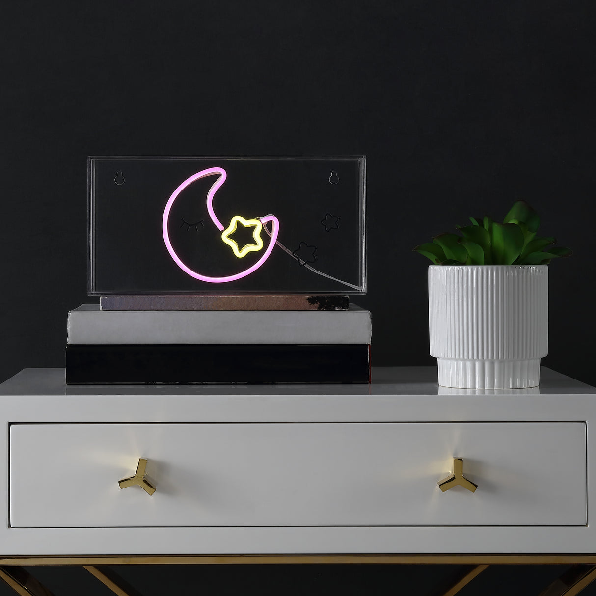 Moon Contemporary Glam Acrylic Box USB Operated LED Neon Light