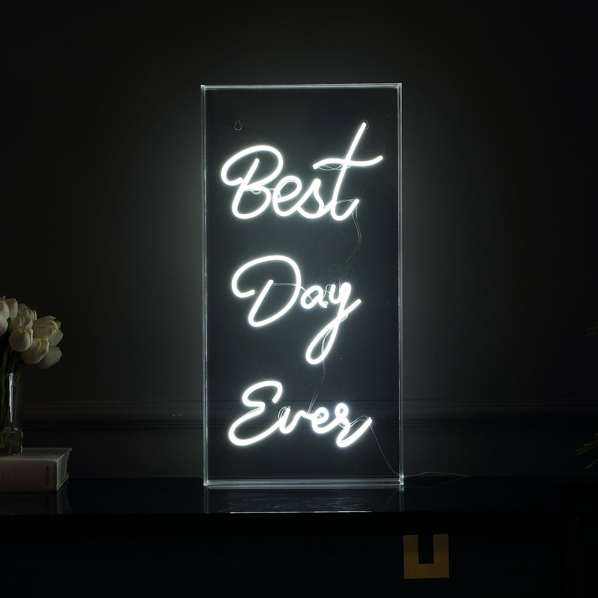 Best X 23.63" Contemporary Glam Acrylic Box USB Operated LED Neon Light