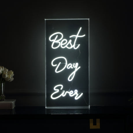 Best X 23.63" Contemporary Glam Acrylic Box USB Operated LED Neon Light